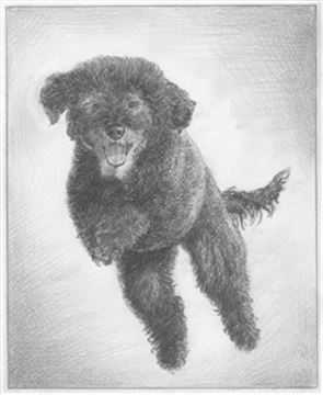 Hand Drawn Pencil Portraits from Photos | Pencil Portrait Drawing | Pencil Sketch Artists