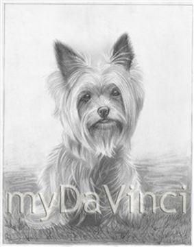 Hand Drawn Pencil Portraits from Photos | Pencil Portrait Drawing | Pencil Sketch Artists