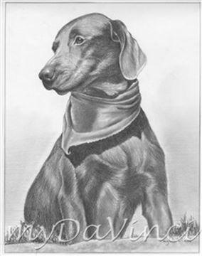 Hand Drawn Pencil Portraits from Photos | Pencil Portrait Drawing | Pencil Sketch Artists
