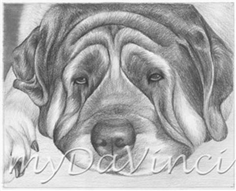 Hand Drawn Pencil Portraits from Photos | Pencil Portrait Drawing | Pencil Sketch Artists