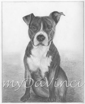 Hand Drawn Pencil Portraits from Photos | Pencil Portrait Drawing | Pencil Sketch Artists