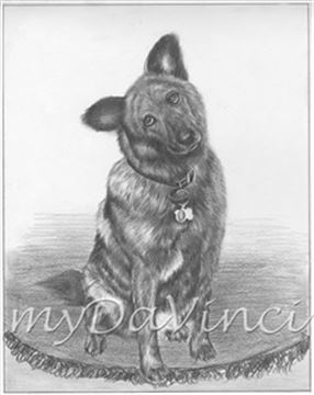 Hand Drawn Pencil Portraits from Photos | Pencil Portrait Drawing | Pencil Sketch Artists