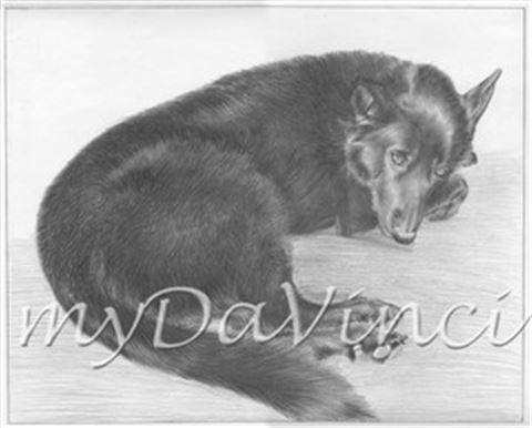 Hand Drawn Pencil Portraits from Photos | Pencil Portrait Drawing | Pencil Sketch Artists