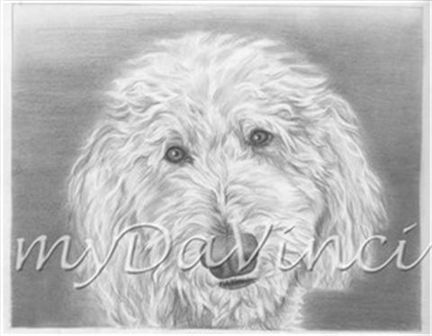 Hand Drawn Pencil Portraits from Photos | Pencil Portrait Drawing | Pencil Sketch Artists