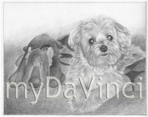 Hand Drawn Pencil Portraits from Photos | Pencil Portrait Drawing | Pencil Sketch Artists