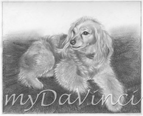 Hand Drawn Pencil Portraits from Photos | Pencil Portrait Drawing | Pencil Sketch Artists