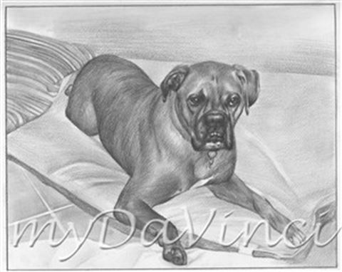 Hand Drawn Pencil Portraits from Photos | Pencil Portrait Drawing | Pencil Sketch Artists