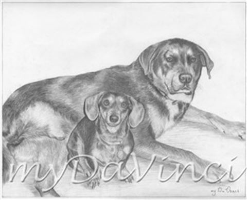 Hand Drawn Pencil Portraits from Photos | Pencil Portrait Drawing | Pencil Sketch Artists