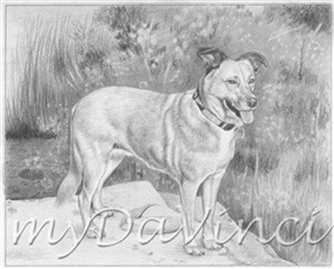 Hand Drawn Pencil Portraits from Photos | Pencil Portrait Drawing | Pencil Sketch Artists