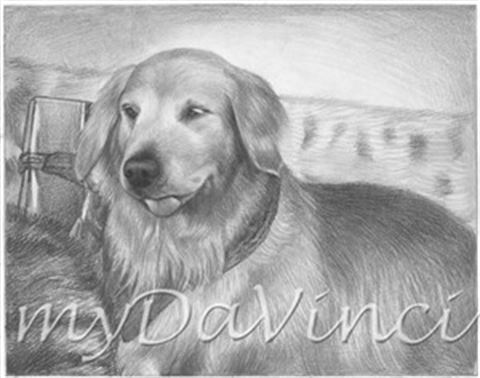 Hand Drawn Pencil Portraits from Photos | Pencil Portrait Drawing | Pencil Sketch Artists