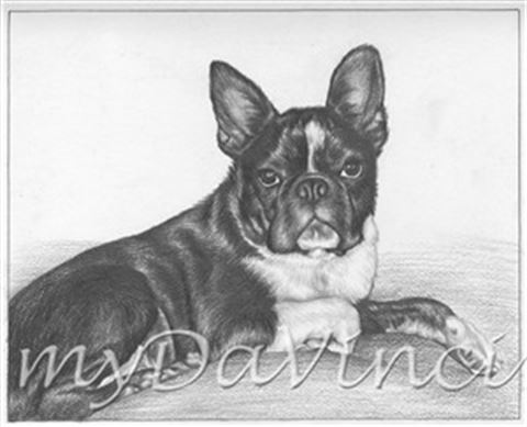 Hand Drawn Pencil Portraits from Photos | Pencil Portrait Drawing | Pencil Sketch Artists