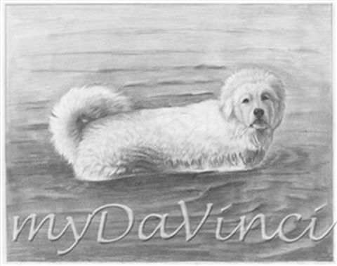 Hand Drawn Pencil Portraits from Photos | Pencil Portrait Drawing | Pencil Sketch Artists