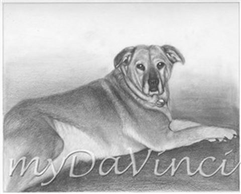 Hand Drawn Pencil Portraits from Photos | Pencil Portrait Drawing | Pencil Sketch Artists