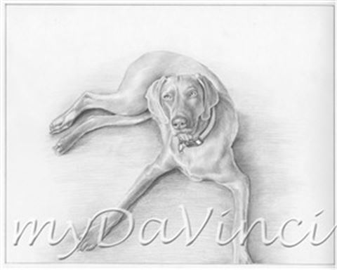 Hand Drawn Pencil Portraits from Photos | Pencil Portrait Drawing | Pencil Sketch Artists