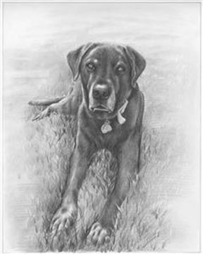 Hand Drawn Pencil Portraits from Photos | Pencil Portrait Drawing | Pencil Sketch Artists