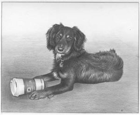 Hand Drawn Pencil Portraits from Photos | Pencil Portrait Drawing | Pencil Sketch Artists