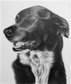 Hand Drawn Pencil Portraits from Photos | Pencil Portrait Drawing | Pencil Sketch Artists