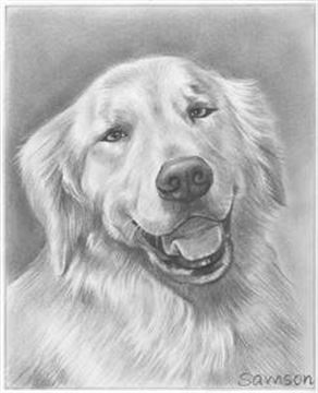 Hand Drawn Pencil Portraits from Photos | Pencil Portrait Drawing | Pencil Sketch Artists