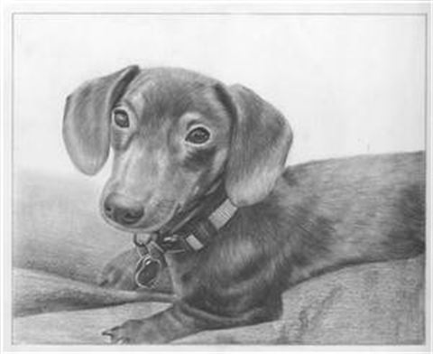 Hand Drawn Pencil Portraits from Photos | Pencil Portrait Drawing | Pencil Sketch Artists