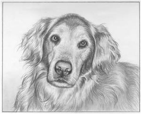 Hand Drawn Pencil Portraits from Photos | Pencil Portrait Drawing | Pencil Sketch Artists