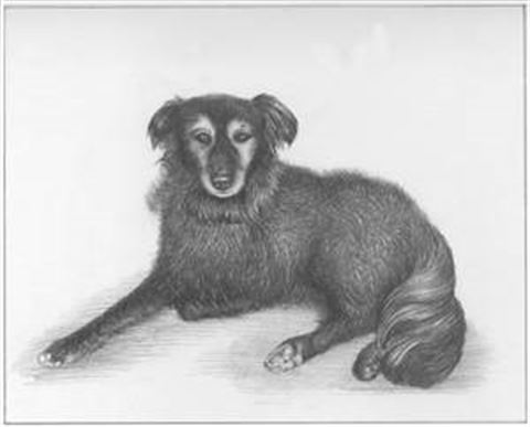 Hand Drawn Pencil Portraits from Photos | Pencil Portrait Drawing | Pencil Sketch Artists