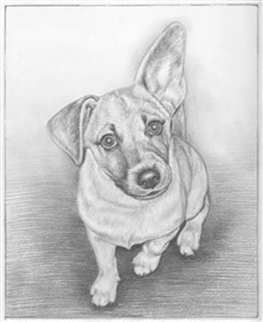 Hand Drawn Pencil Portraits from Photos | Pencil Portrait Drawing | Pencil Sketch Artists