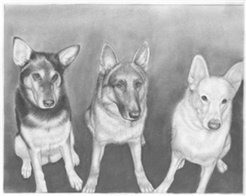 Hand Drawn Pencil Portraits from Photos | Pencil Portrait Drawing | Pencil Sketch Artists