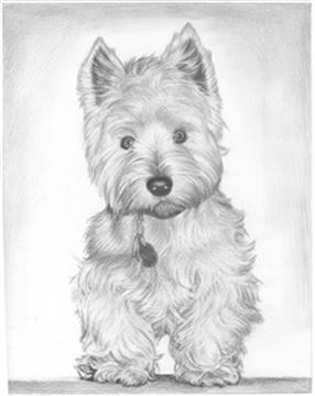 Hand Drawn Pencil Portraits from Photos | Pencil Portrait Drawing | Pencil Sketch Artists