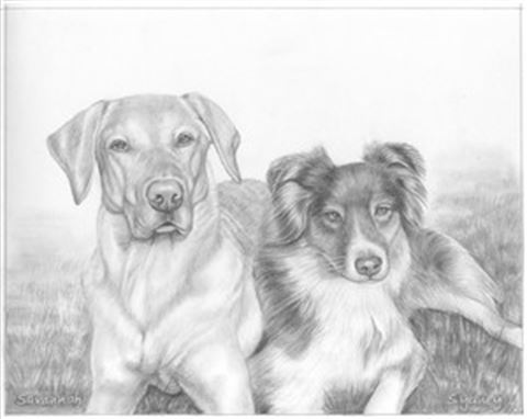 Hand Drawn Pencil Portraits from Photos | Pencil Portrait Drawing | Pencil Sketch Artists