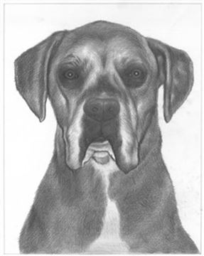 Hand Drawn Pencil Portraits from Photos | Pencil Portrait Drawing | Pencil Sketch Artists