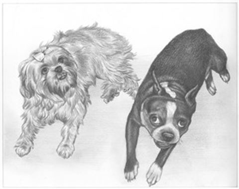 Hand Drawn Pencil Portraits from Photos | Pencil Portrait Drawing | Pencil Sketch Artists