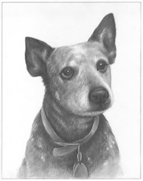 Hand Drawn Pencil Portraits from Photos | Pencil Portrait Drawing | Pencil Sketch Artists