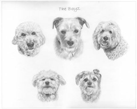 Hand Drawn Pencil Portraits from Photos | Pencil Portrait Drawing | Pencil Sketch Artists