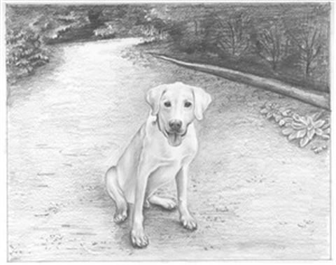 Hand Drawn Pencil Portraits from Photos | Pencil Portrait Drawing | Pencil Sketch Artists