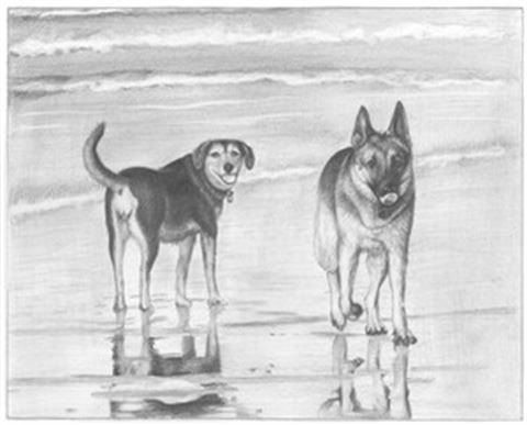 Hand Drawn Pencil Portraits from Photos | Pencil Portrait Drawing | Pencil Sketch Artists
