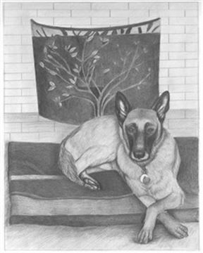 Hand Drawn Pencil Portraits from Photos | Pencil Portrait Drawing | Pencil Sketch Artists