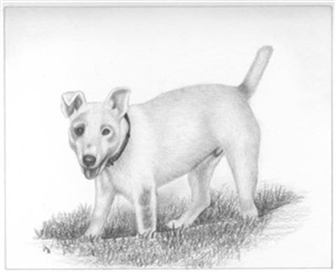 Hand Drawn Pencil Portraits from Photos | Pencil Portrait Drawing | Pencil Sketch Artists