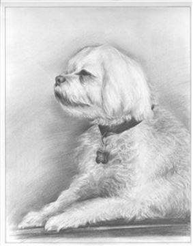 Hand Drawn Pencil Portraits from Photos | Pencil Portrait Drawing | Pencil Sketch Artists