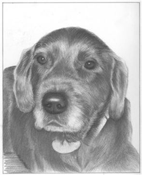 Hand Drawn Pencil Portraits from Photos | Pencil Portrait Drawing | Pencil Sketch Artists