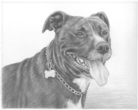 Hand Drawn Pencil Portraits from Photos | Pencil Portrait Drawing | Pencil Sketch Artists