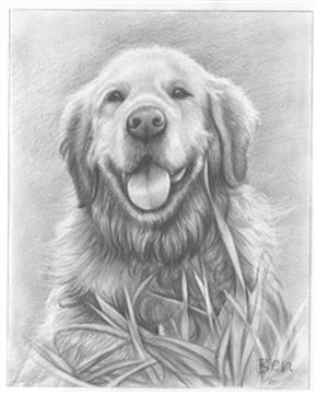 Hand Drawn Pencil Portraits from Photos | Pencil Portrait Drawing | Pencil Sketch Artists