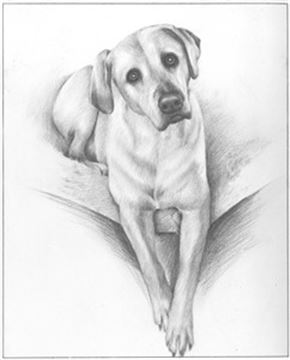 Hand Drawn Pencil Portraits from Photos | Pencil Portrait Drawing | Pencil Sketch Artists