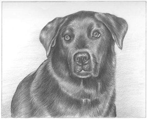 Hand Drawn Pencil Portraits from Photos | Pencil Portrait Drawing | Pencil Sketch Artists