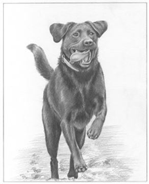 Hand Drawn Pencil Portraits from Photos | Pencil Portrait Drawing | Pencil Sketch Artists