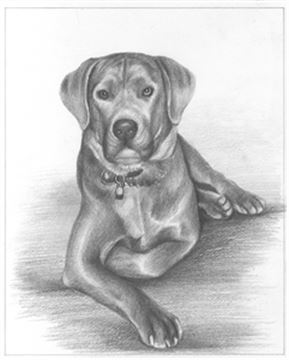 Hand Drawn Pencil Portraits from Photos | Pencil Portrait Drawing | Pencil Sketch Artists