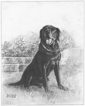 Hand Drawn Pencil Portraits from Photos | Pencil Portrait Drawing | Pencil Sketch Artists