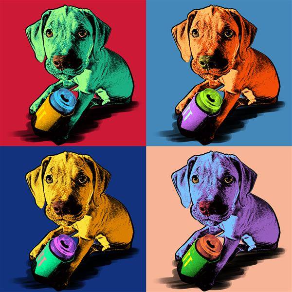 Pop Art 4 Panels