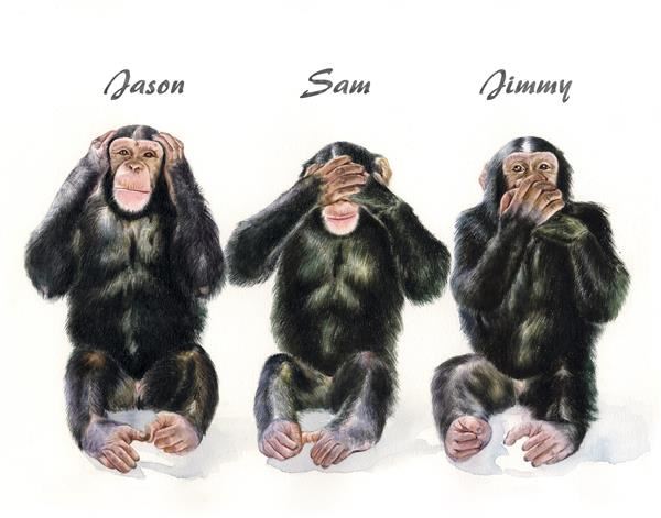 Monkey See, Monkey Do III