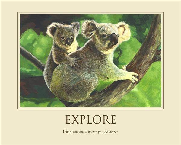 Explore - Custom Inspirational Poster with koala mom and baby koala
