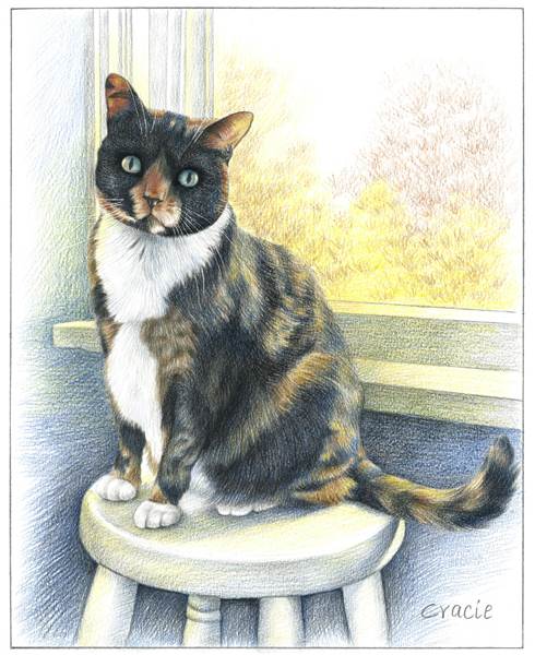 Hand Drawn Colored Pencil Portraits